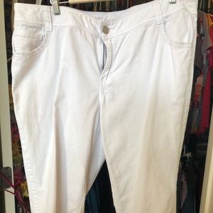 Lane Bryant Capri Jeans